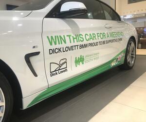 Dealership Graphics